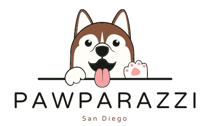 San Diego PawParazzi Logo